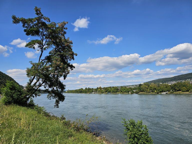 Gemeinsamer Antrag: Aktionsprogramm Natürlicher Klimaschutz (ANK) – Prüfung möglicher Förderung